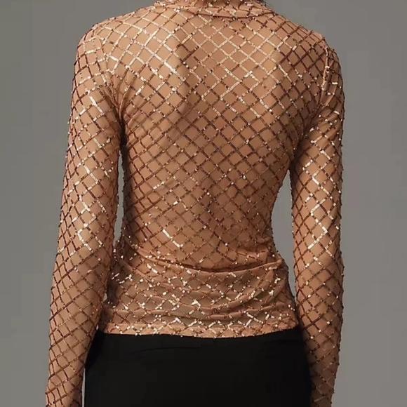 Anthropologie Pilcro Shimmering Sequins Brown Mesh Top. - Picture 2 of 11